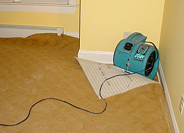 Wet Carpet Drying